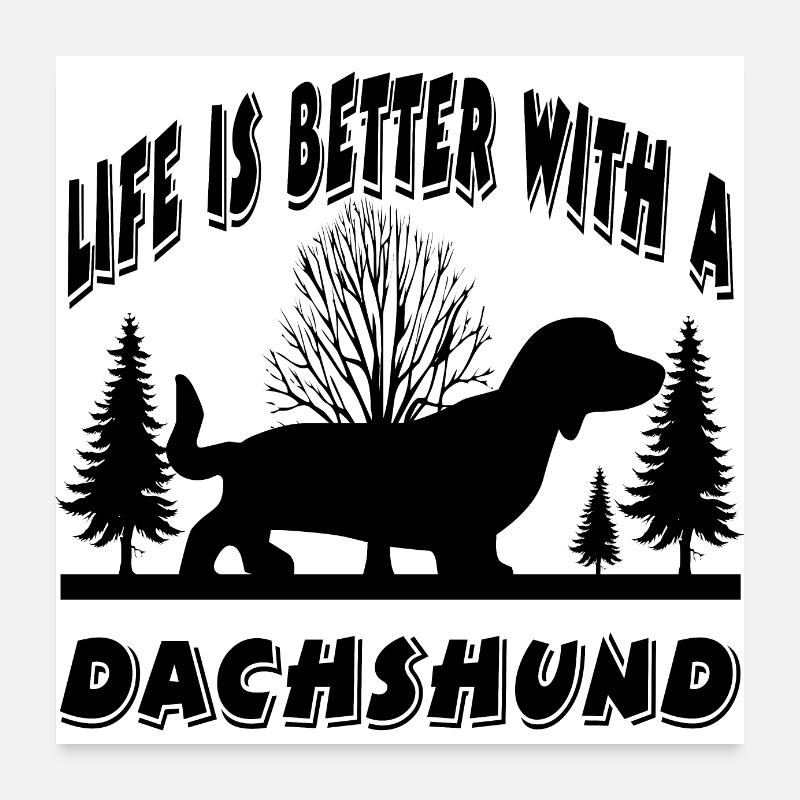 Dachshund - Poster 24" x 24" (60x60 cm) - white