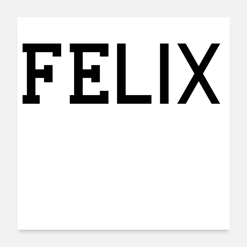FELIX Poster 24" x 24" (60x60 cm)