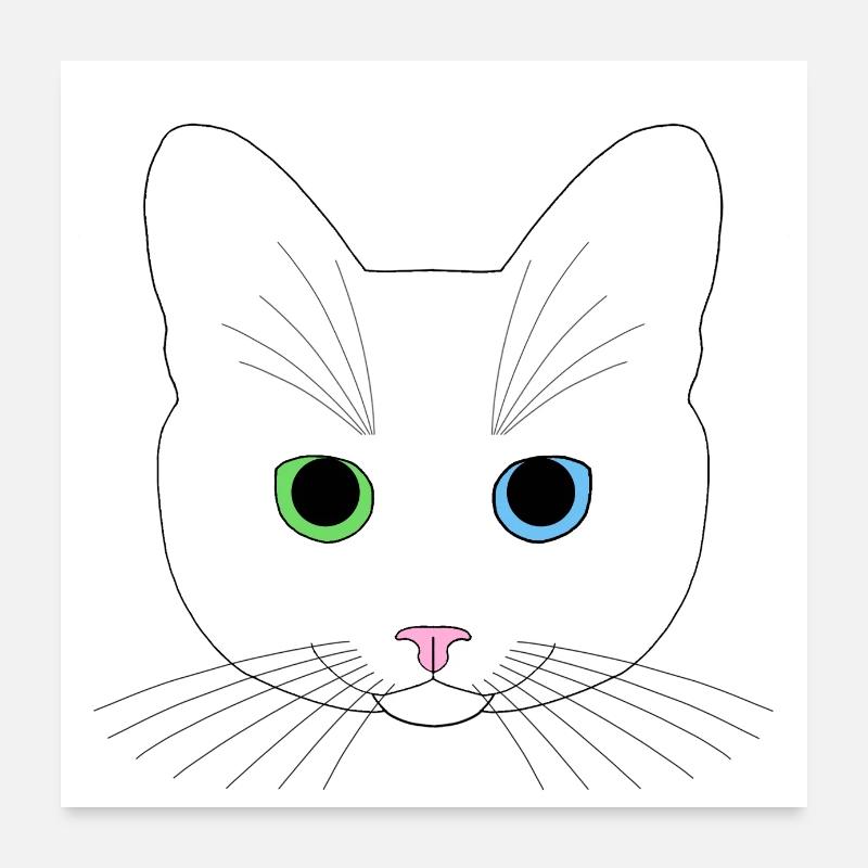 Chat blanc yeux vert bleu Poster 60 x 60 cm