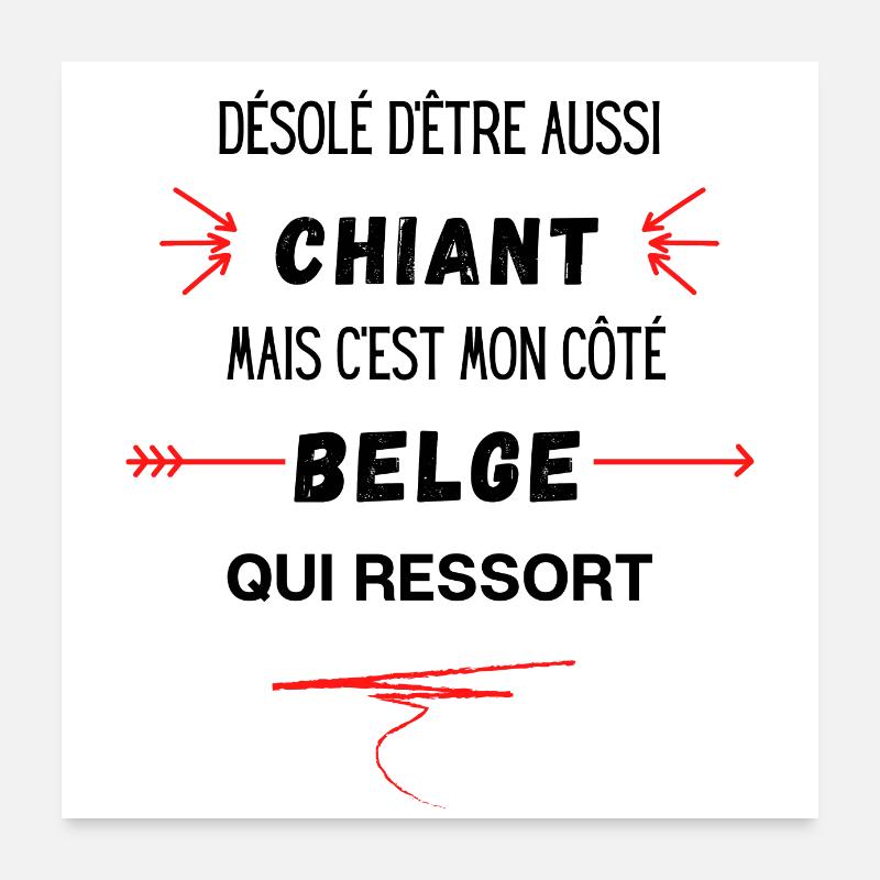 Désolé d'etre Chiant c'est mon côté belge Poster 60 x 60 cm