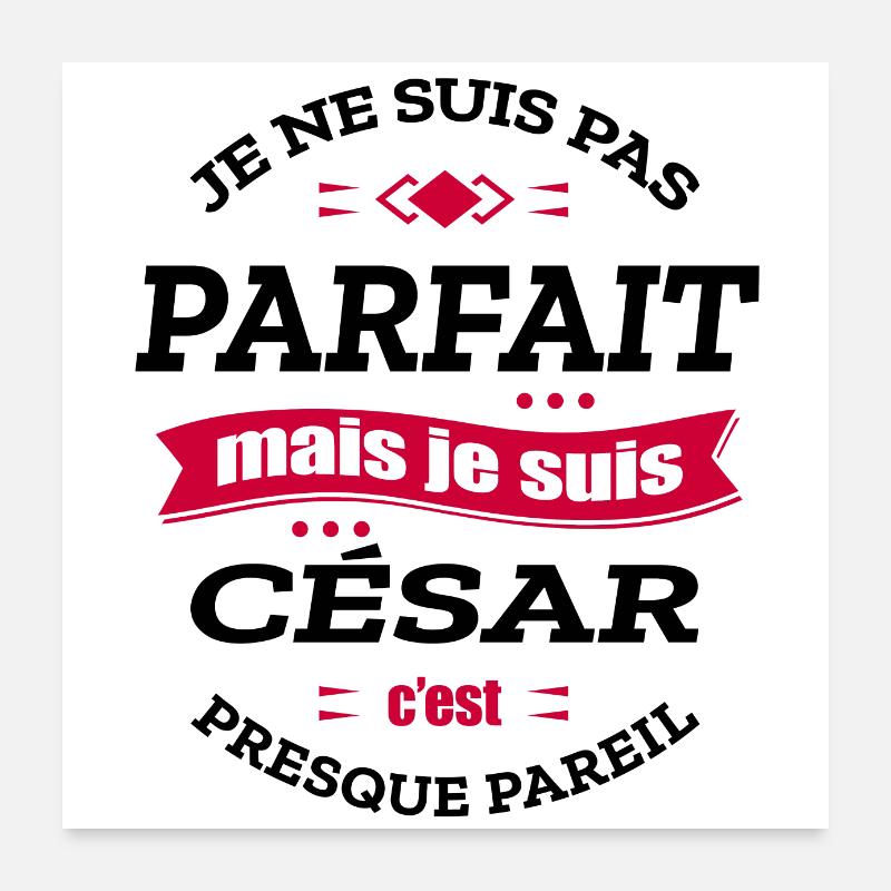 CÉSAR PARFAIT - PRENOM CÉSAR - Poster 60 x 60 cm - blanc