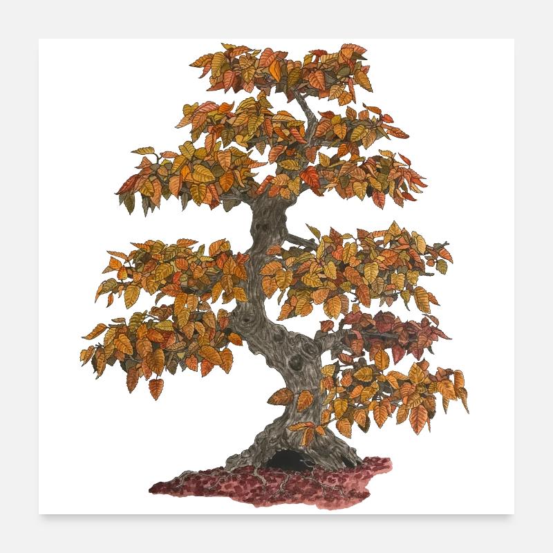 Bonsai Laubbaum mit roten Blättern Poster 60x60 cm