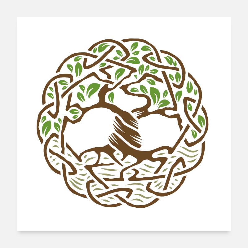 Celtic Tree - Poster 24" x 24" (60x60 cm) - white