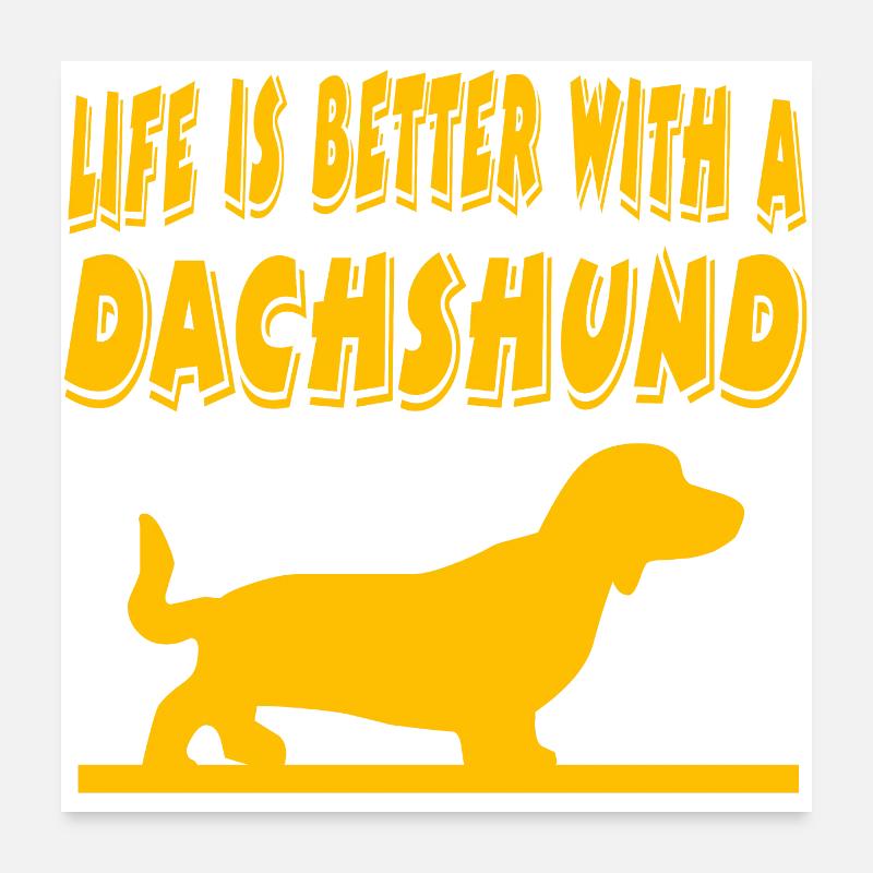 Dackel - Poster 60x60 cm - Weiß