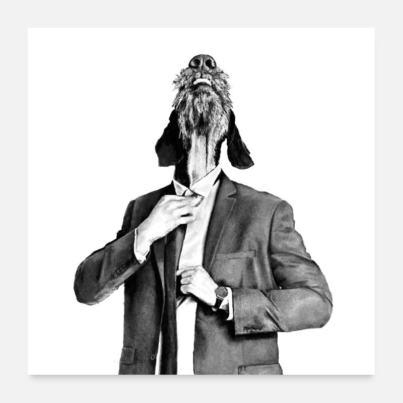 Sharp starb - Poster 60x60 cm - Weiß