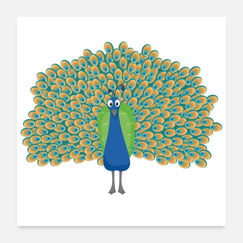 Pfau Poster 60x60 cm