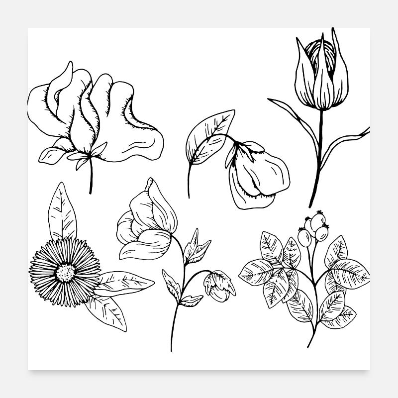Minimalist flower group Poster 24" x 24" (60x60 cm)