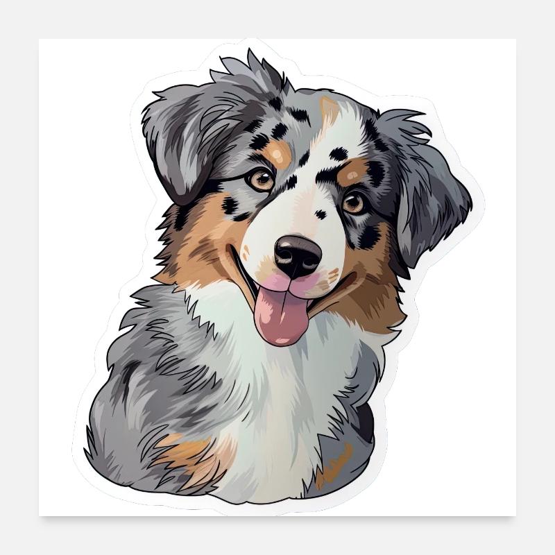 Mignon chiot berger australien - Poster 60 x 60 cm - blanc