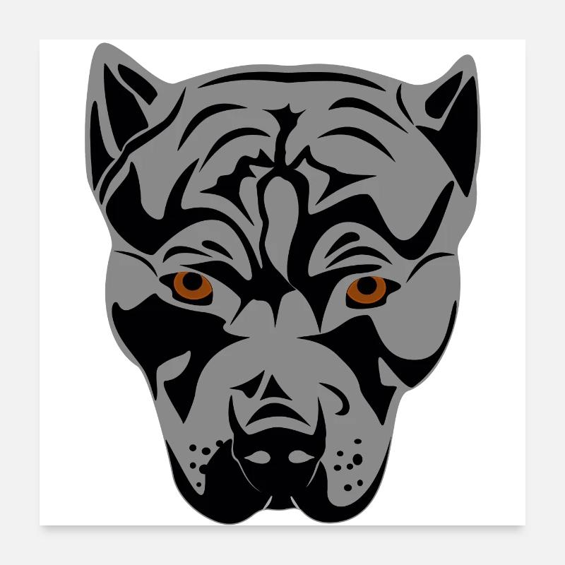 Pittbull Head Design Graphique Poster 60 x 60 cm