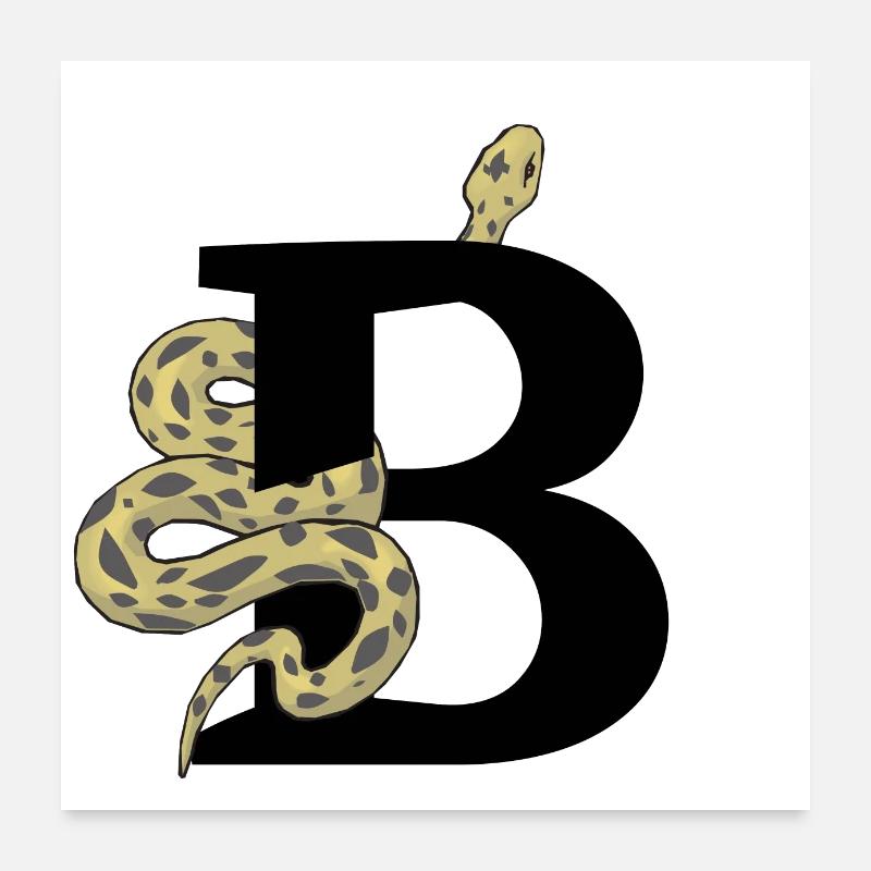 Buchstabe b Schlange Poster 60x60 cm