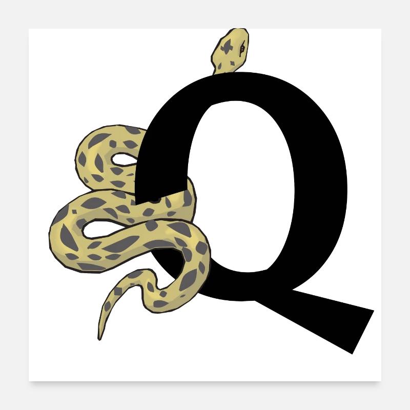 Buchstabe q Schlange Poster 60x60 cm