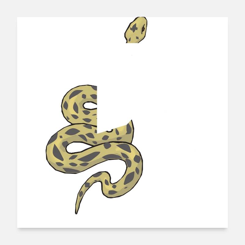 Lettre k serpent Poster 60 x 60 cm
