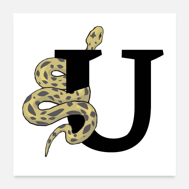 Lettre u serpent Poster 60 x 60 cm