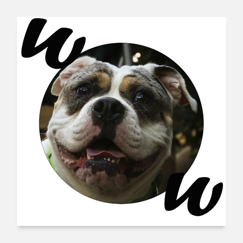 Bulldog Poster 24" x 24" (60x60 cm)