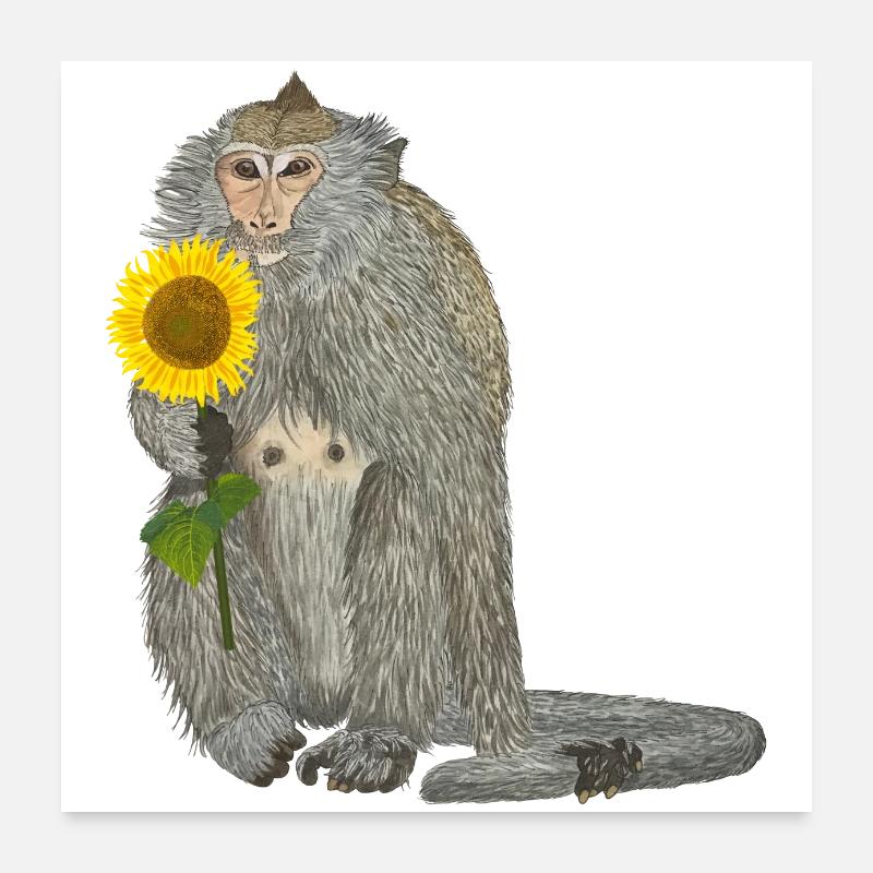 Affe Sonnenblume Makake Poster 60x60 cm