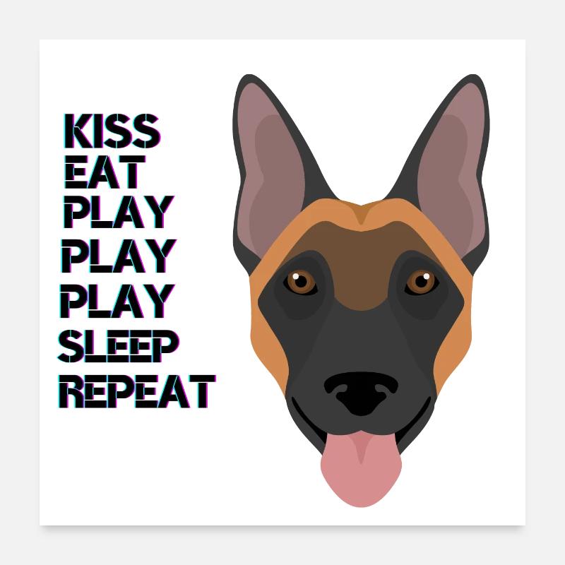 Belgischer Schäferhund Bunt Poster 60x60 cm