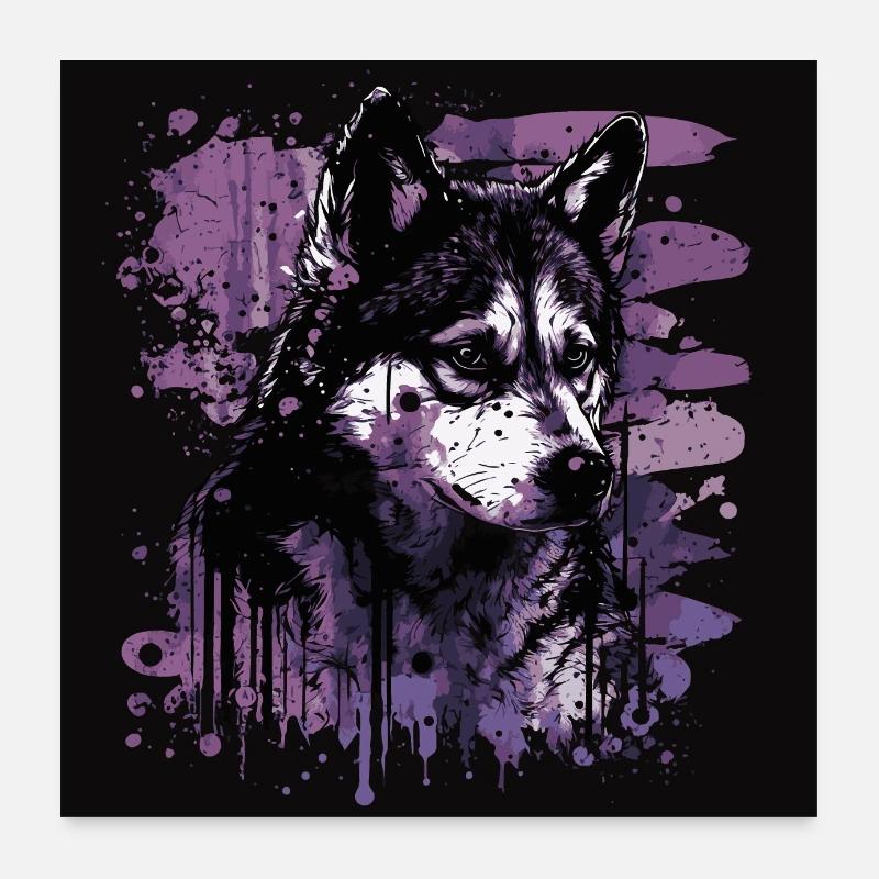 Chien Husky Poster 60 x 60 cm