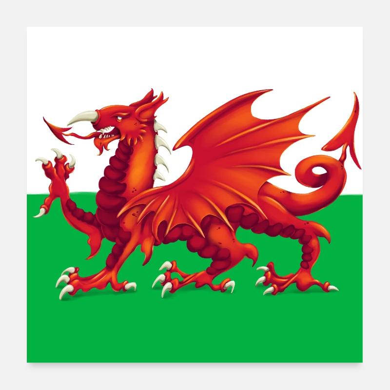 Walisischer Drache - Y Ddraig Goch - Hintergrundversion Poster 60x60 cm