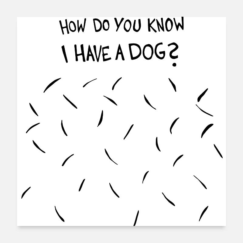 Comment savez-vous que j’ai un chien (poils de chien noirs) Poster 60 x 60 cm