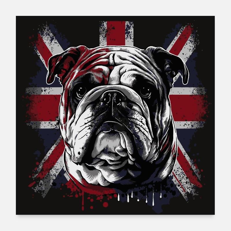 Drôle de bouledogue anglais Poster 60 x 60 cm