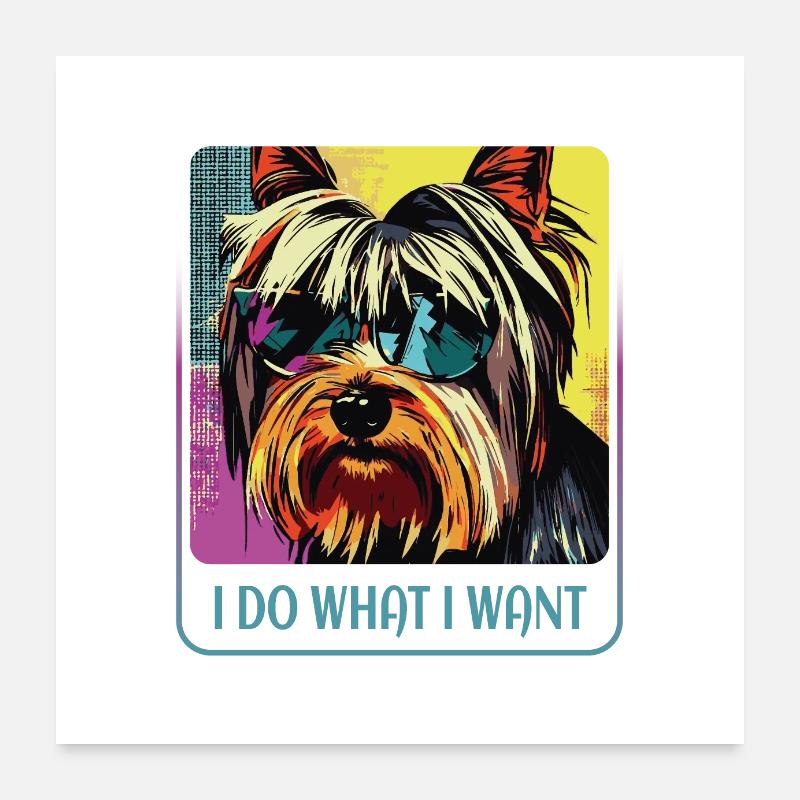 Yorkie têtu Poster 60 x 60 cm