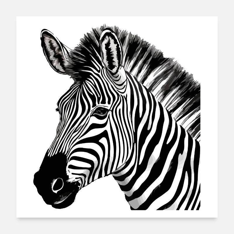 Zebi le zèbre Poster 60 x 60 cm