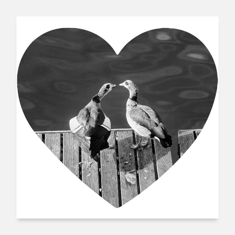 Cœur pour les oiseaux Poster 60 x 60 cm