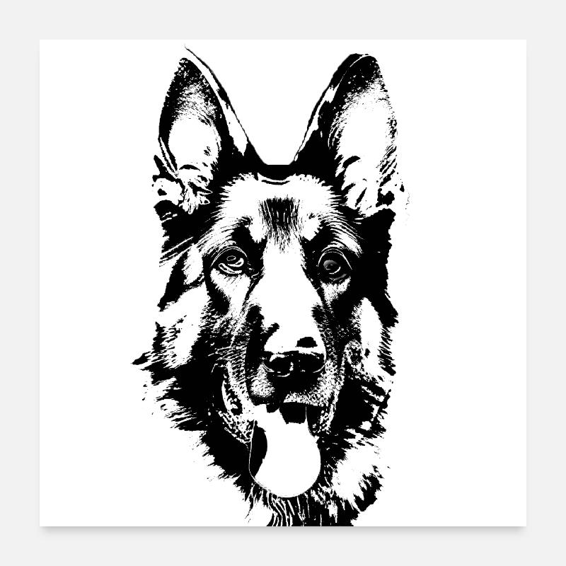 German shepherd head dog head Poster 24" x 24" (60x60 cm)