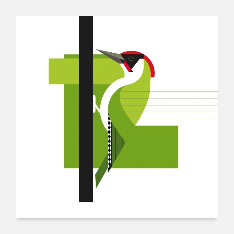 Grünspecht Am Baum Specht Vogel Poster 60x60 cm