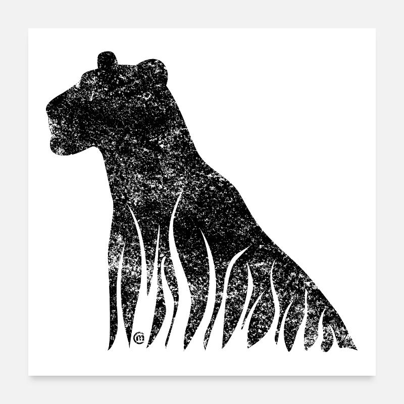 Lionne - Poster 60 x 60 cm - blanc