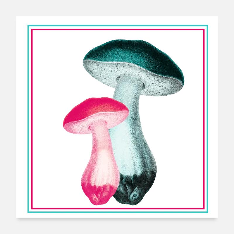 champignons Poster 60 x 60 cm