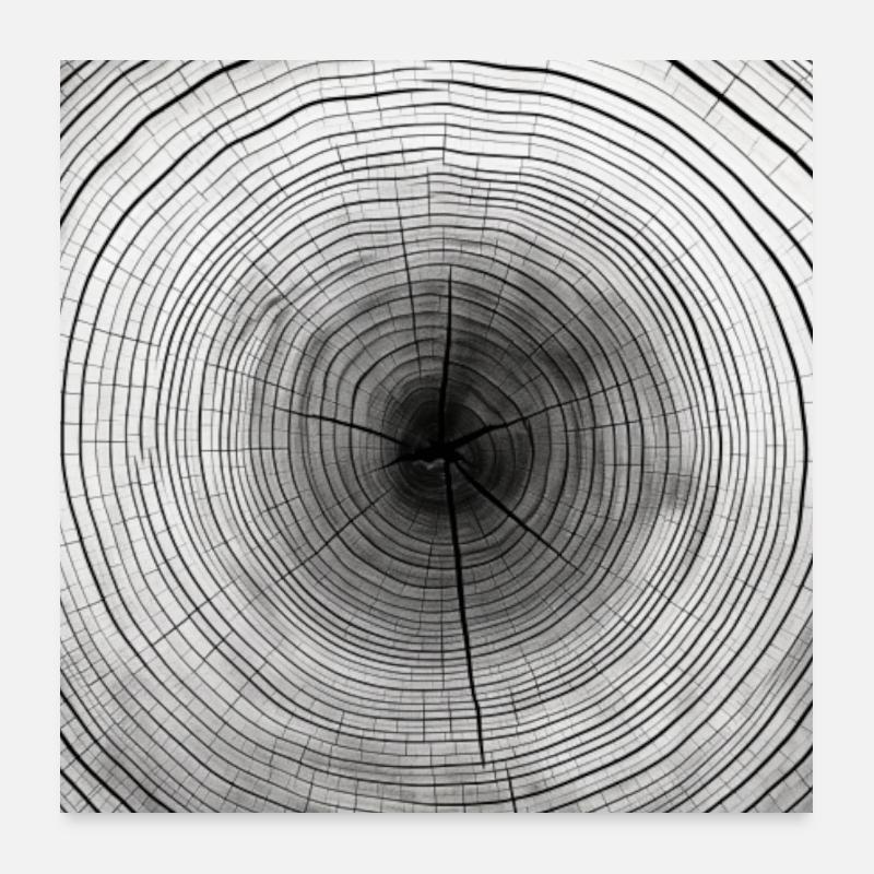 Baumstamm, Baumringe, Holzscheibe Print Poster 1:1 Poster 60x60 cm