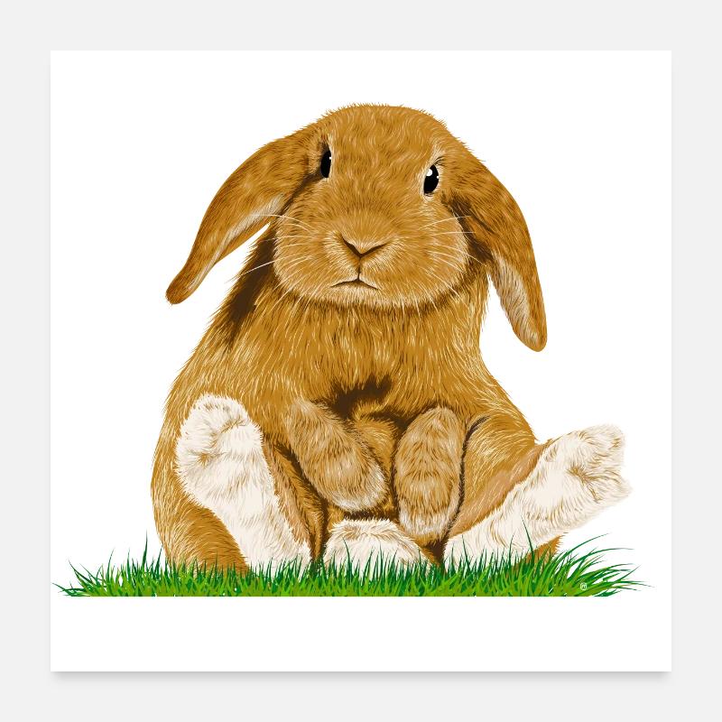 Lapin de Pâques - Poster 60 x 60 cm - blanc