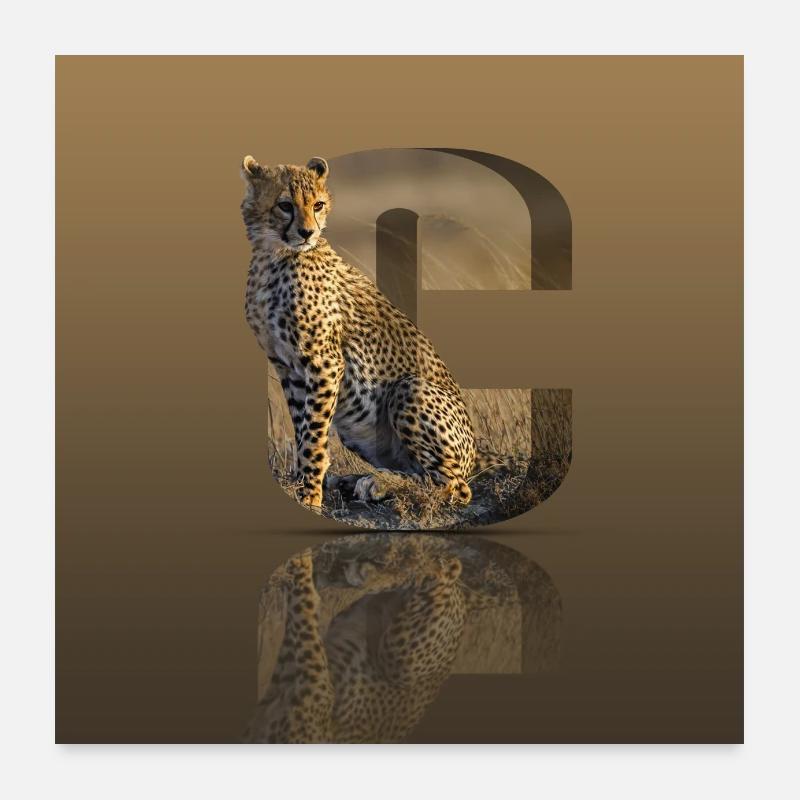 Wildcat in a 3D C Poster 24" x 24" (60x60 cm)