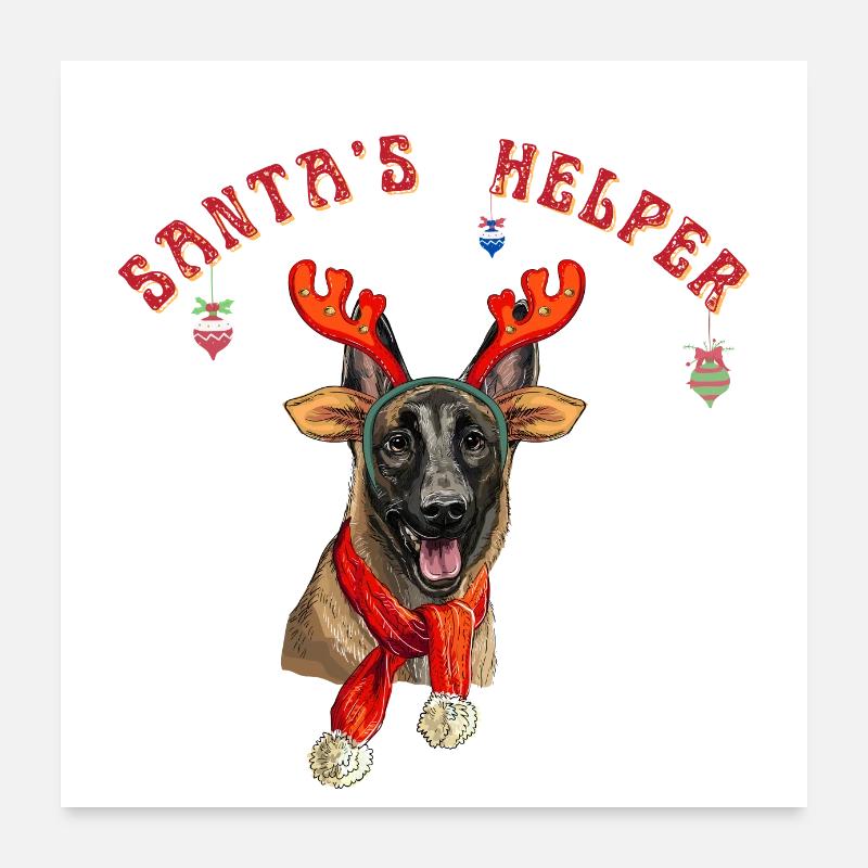 Belgian Shepherd Christmas Theme Poster 24" x 24" (60x60 cm)