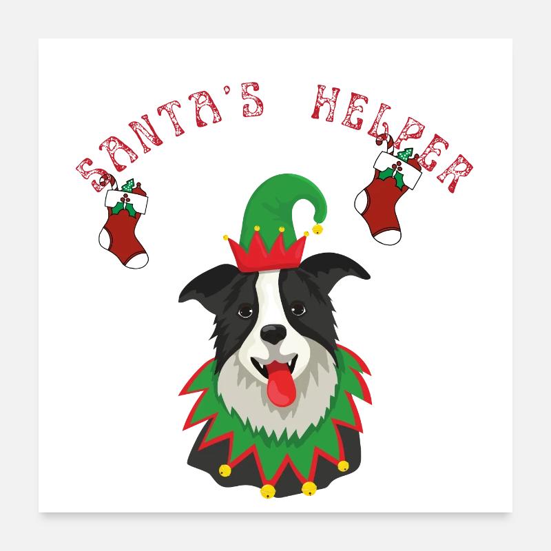 Border Collie chien aide du Père Noël Poster 60 x 60 cm