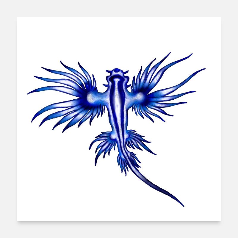 BLAUER DRACHE Poster 60x60 cm