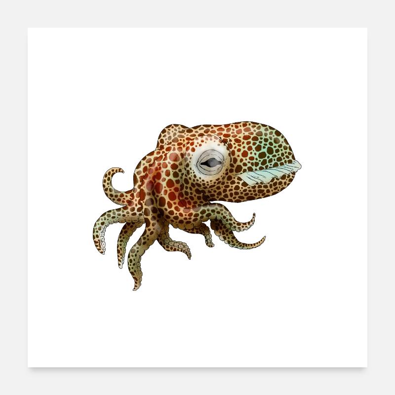 EUPRYMNA BERRYI Poster 60 x 60 cm