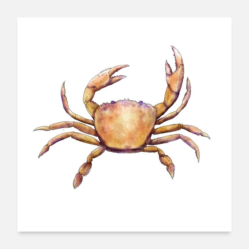 NECORA PUBER - Poster 60 x 60 cm - blanc
