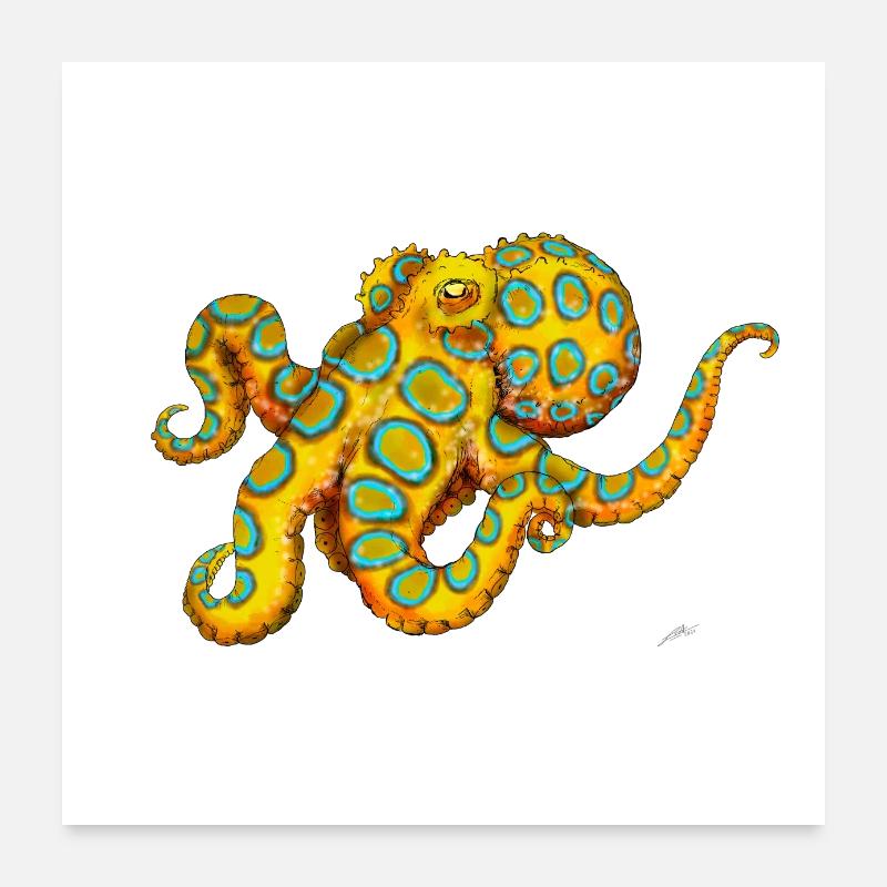 BLAURING-KRAKE Poster 60x60 cm