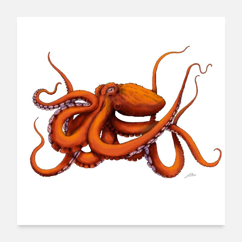 GIANT PACIFIC OCTOPUS Poster 24" x 24" (60x60 cm)