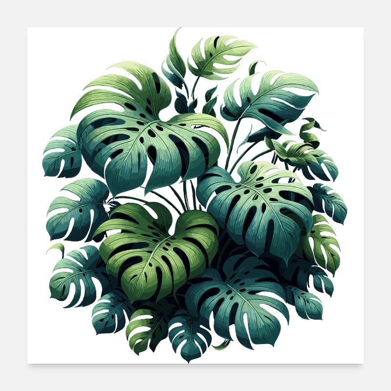 Monstera deliciosa Geschenk - Poster 60x60 cm - Weiß