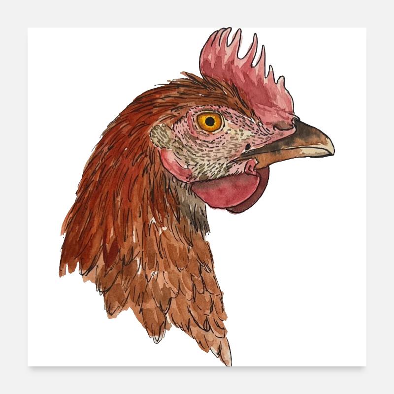 Poule Rhode Iceland Red Farmer Farmer Poster 60 x 60 cm