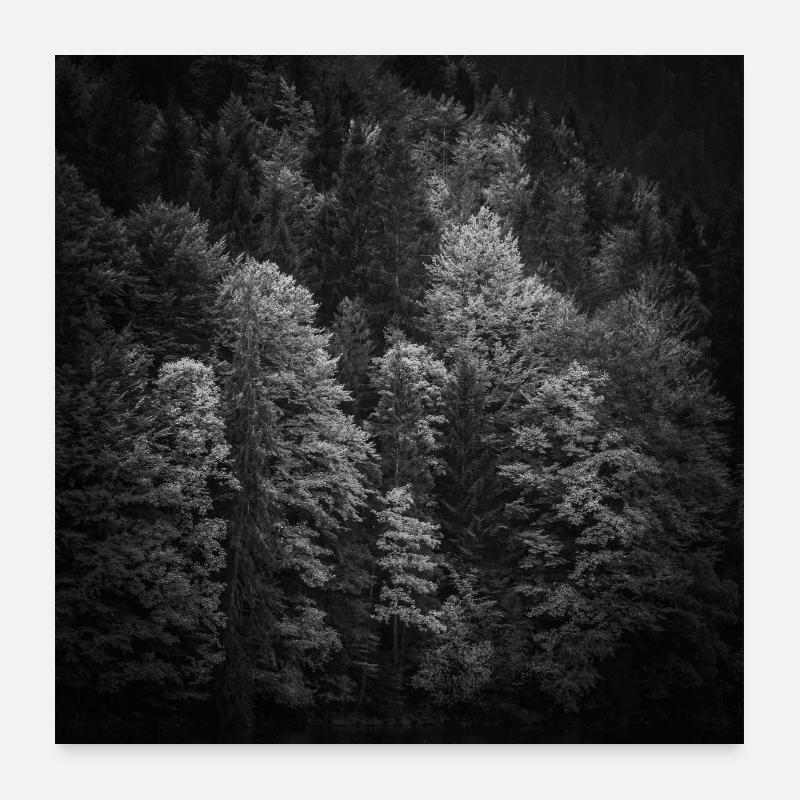 Trees Autumn Bavaria Eibsee Zugspitze Poster Poster 24" x 24" (60x60 cm)