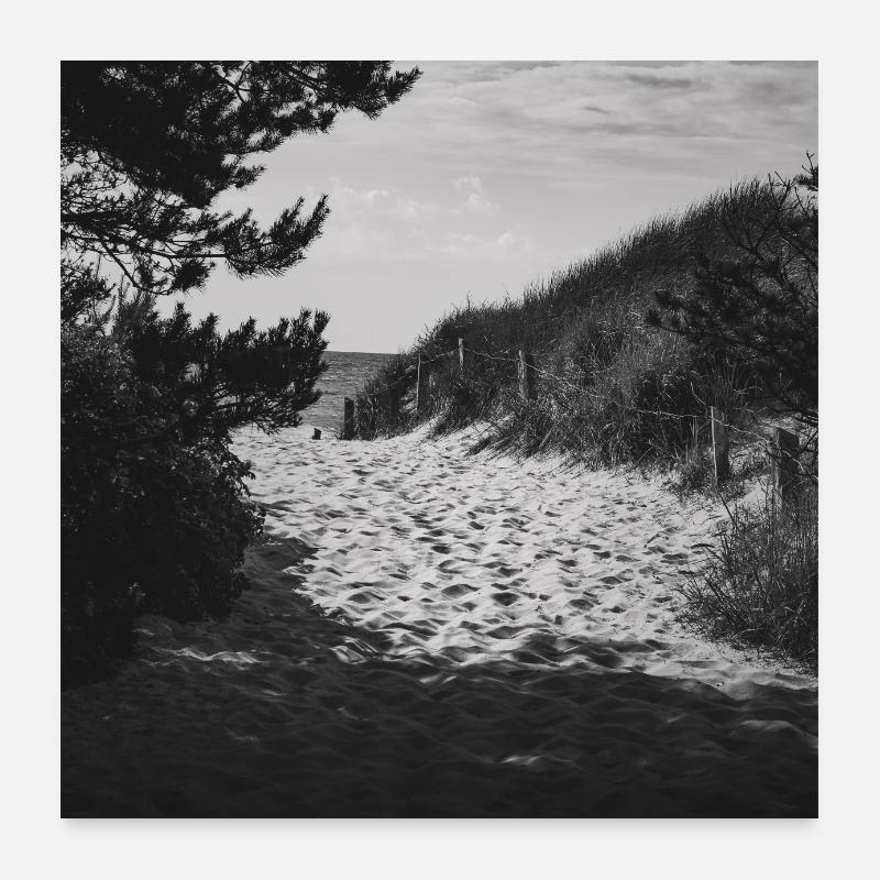 Accès à la plage West Beach Prerow Mer Baltique Darß Poster - Poster 60 x 60 cm - blanc