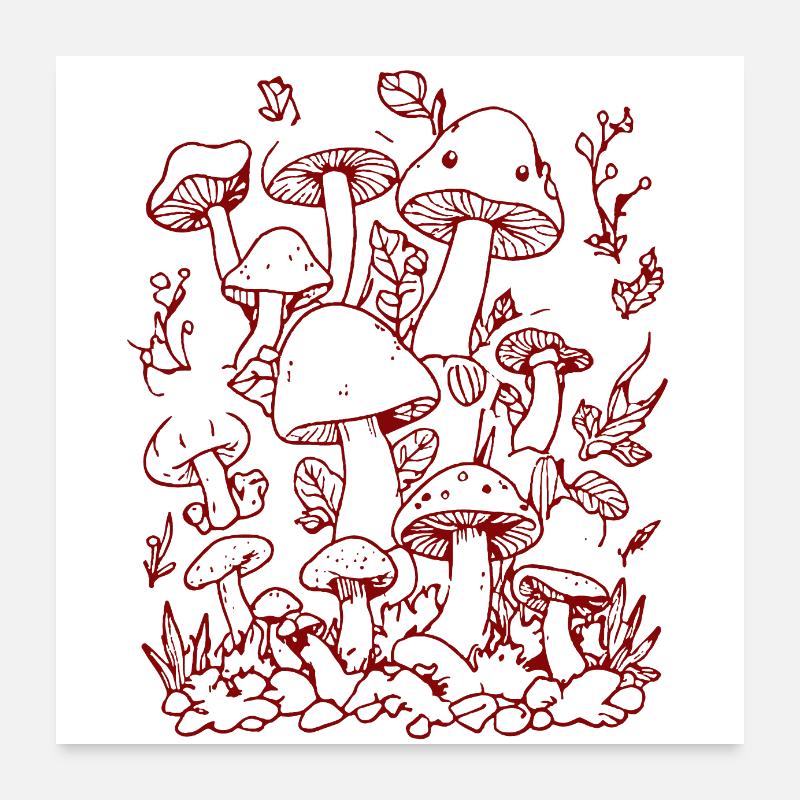 Pilze Poster 60x60 cm