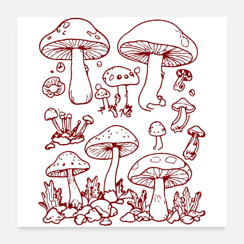 Pilze Poster 60x60 cm