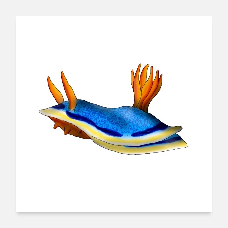 Chromodoris Annae Poster 60x60 cm