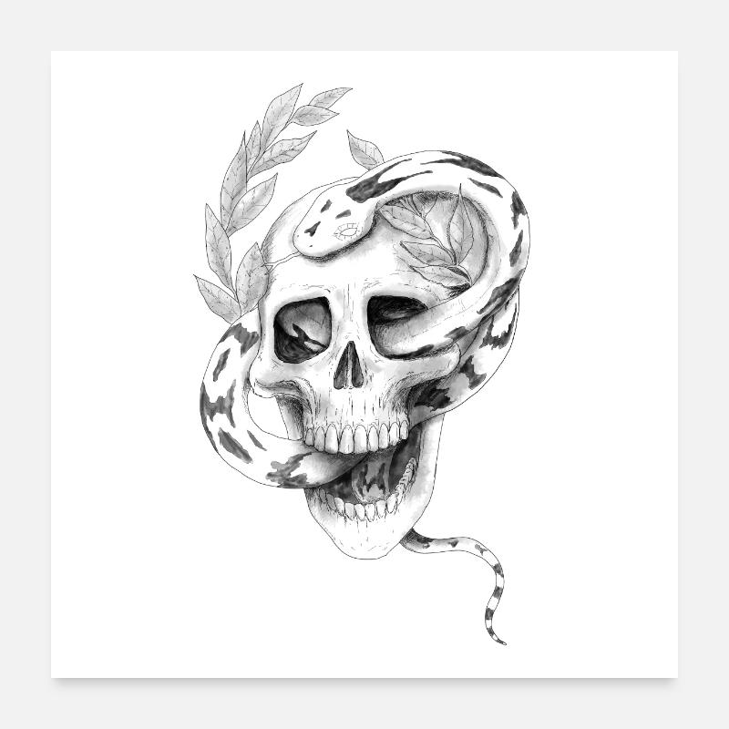 Snake Skull Poster 24" x 24" (60x60 cm)