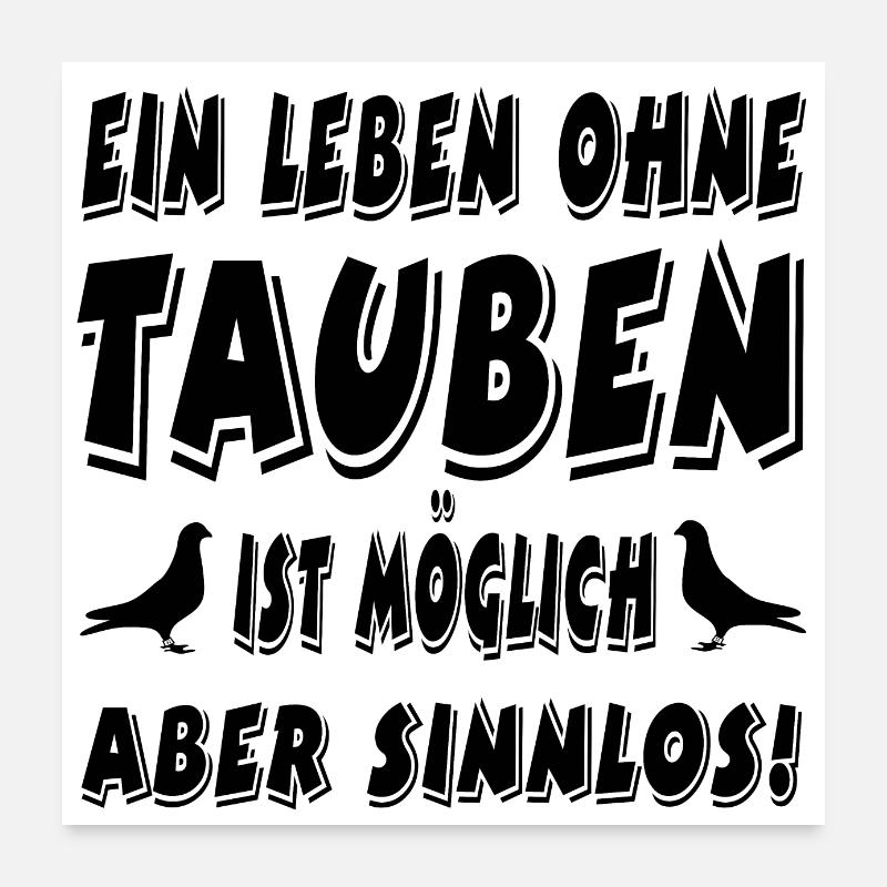 Tauben Poster 60x60 cm
